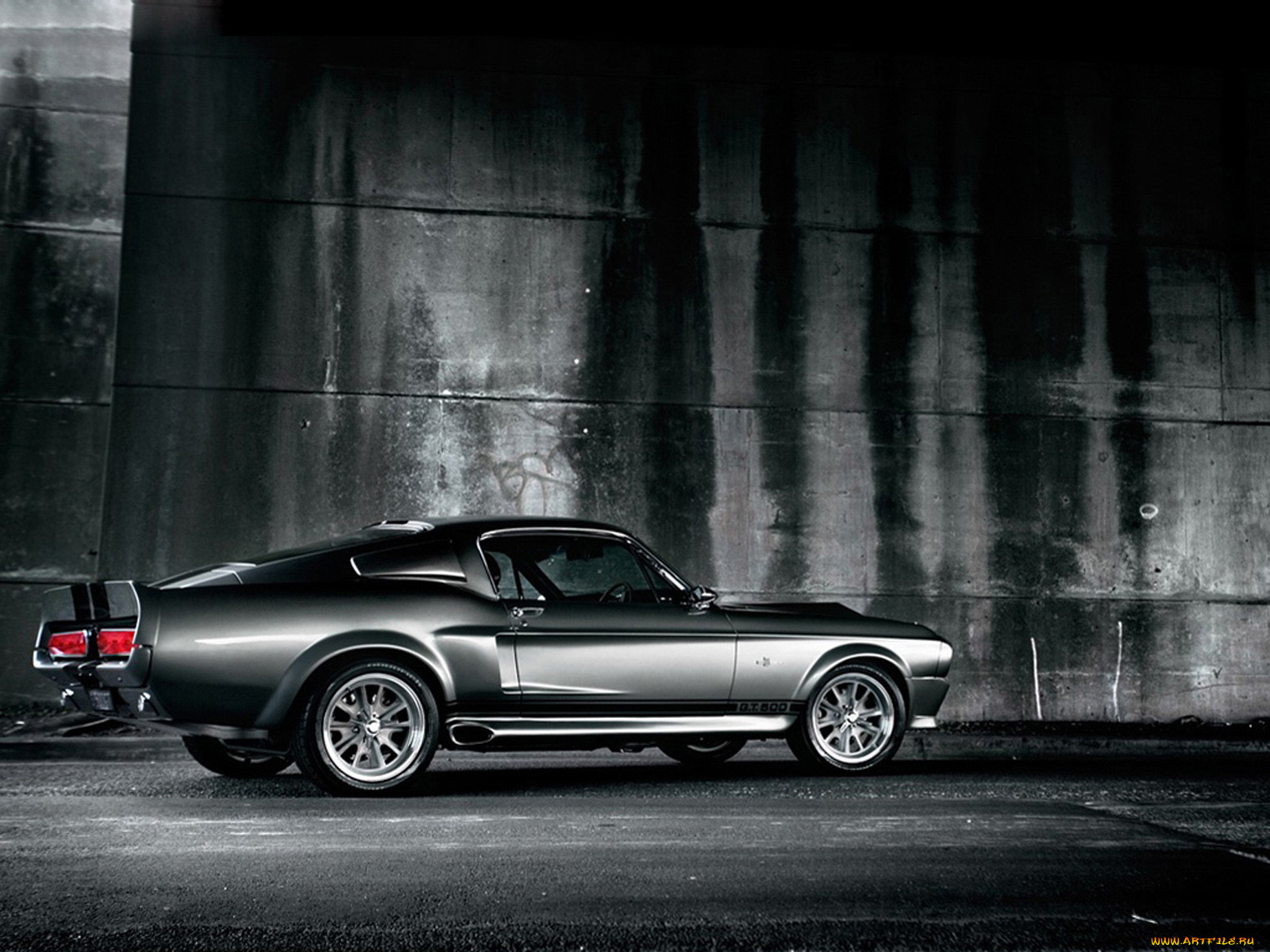 , mustang